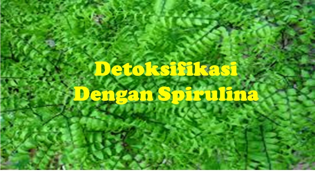 Detoksifikasi Dengan Spirulina